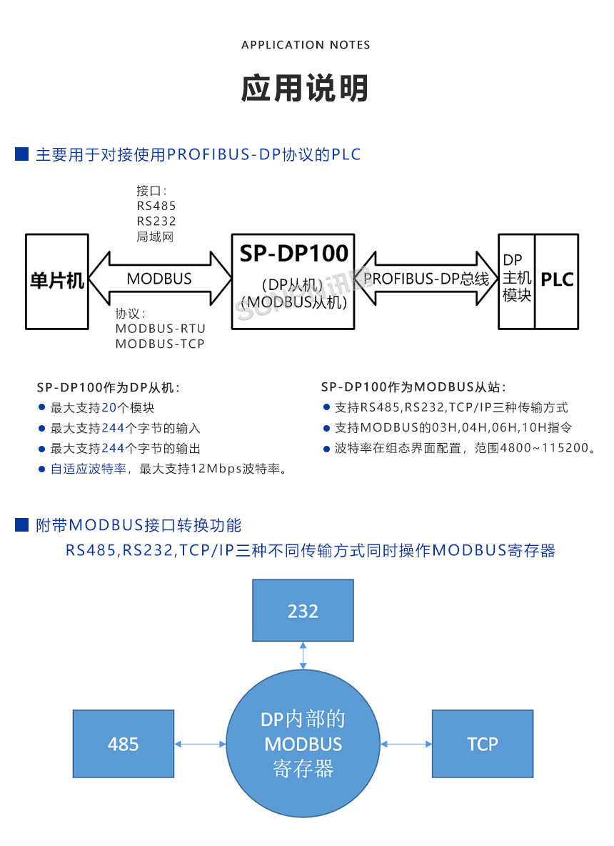 DP最新协议，温馨日常与友情的奇妙邂逅