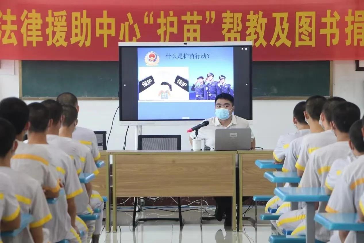 最新假释条文详解，理解与应用指南