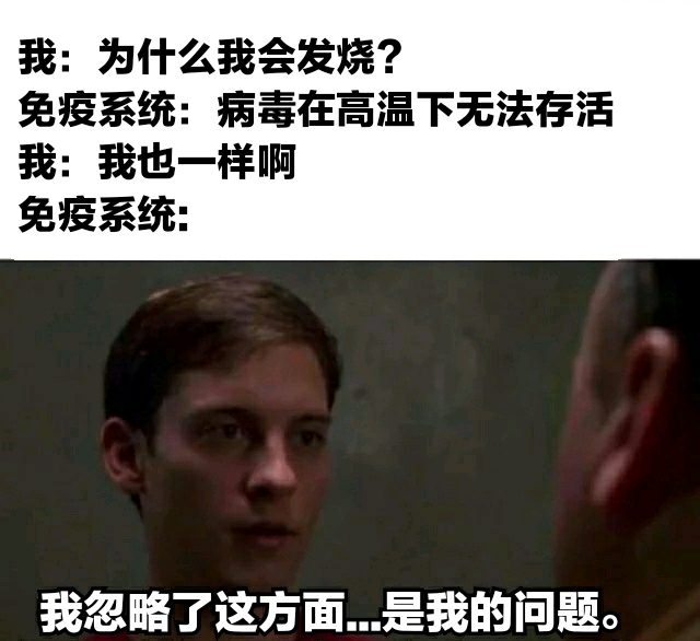 流行文化热点，最新梗梗讨论与趋势分析