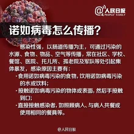 合肥病毒最新动态，奇妙一日揭秘进展