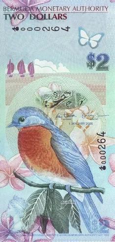 揭秘全球收藏珍宝，最新获奖纸币闪耀登场！