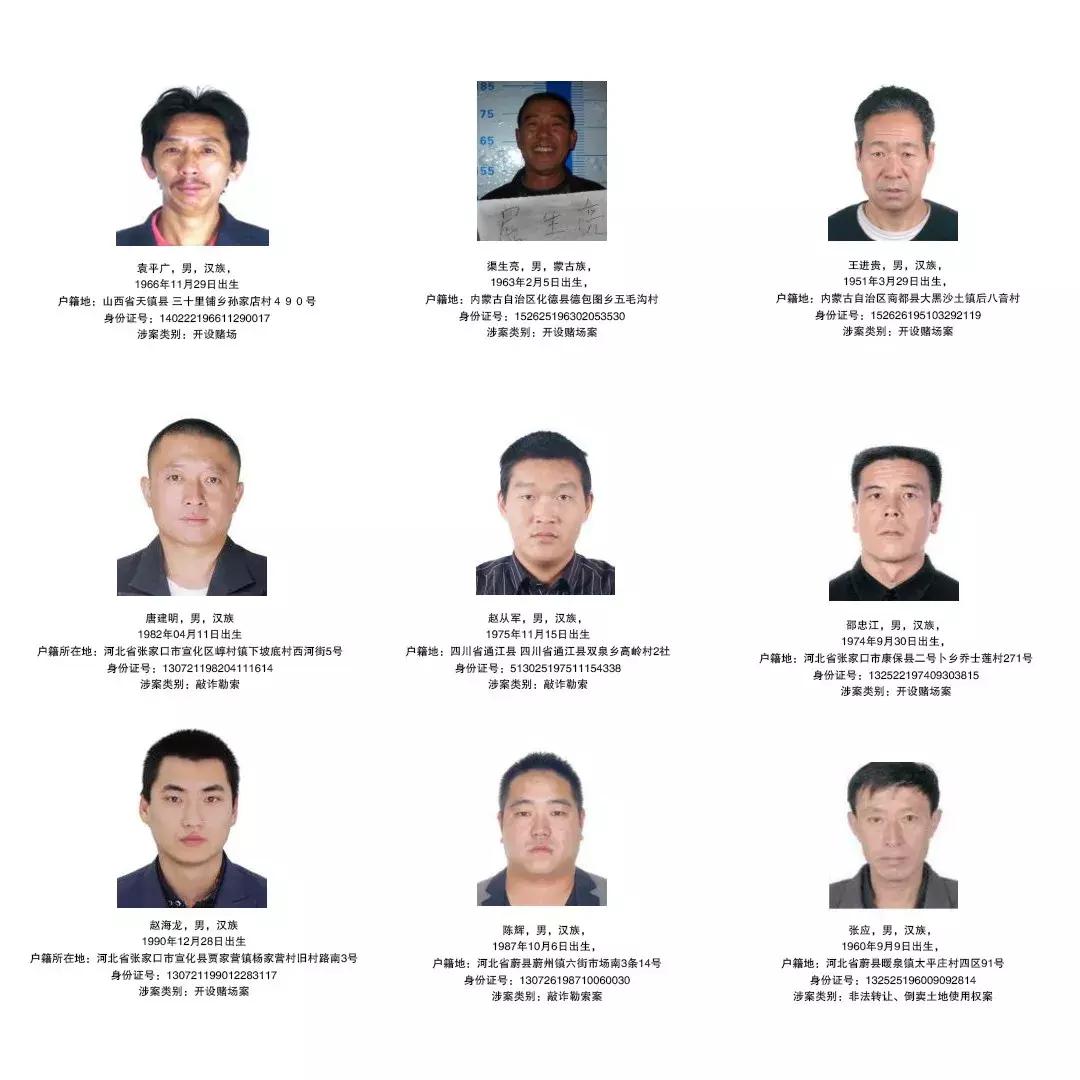 宣化最新清扫行动回顾，影响与展望