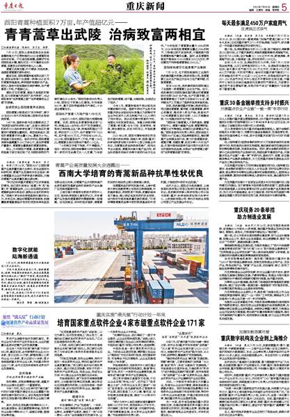 通海最新报业，探索新闻前沿，传递地方声音的力量