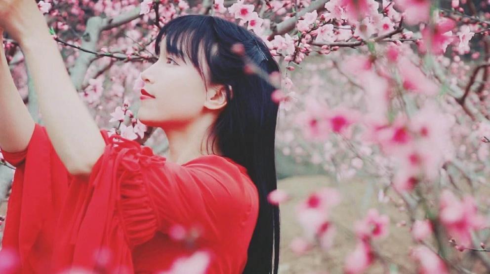 李子柒最新演唱，古风音乐的传承与创新之美