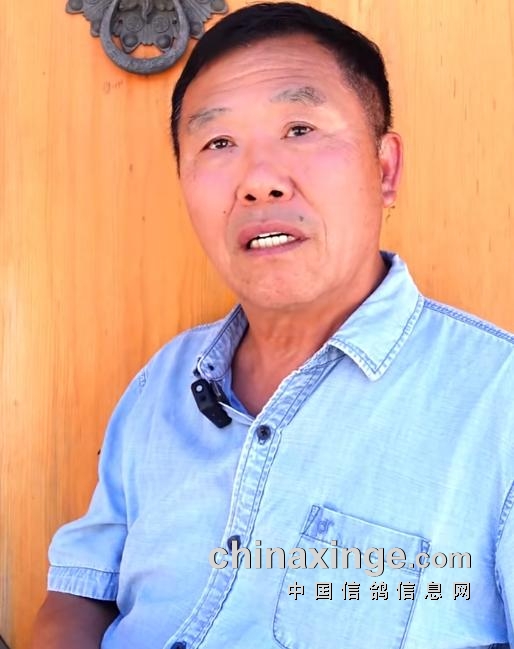 邓文敏最新动态揭秘，展现全新风采