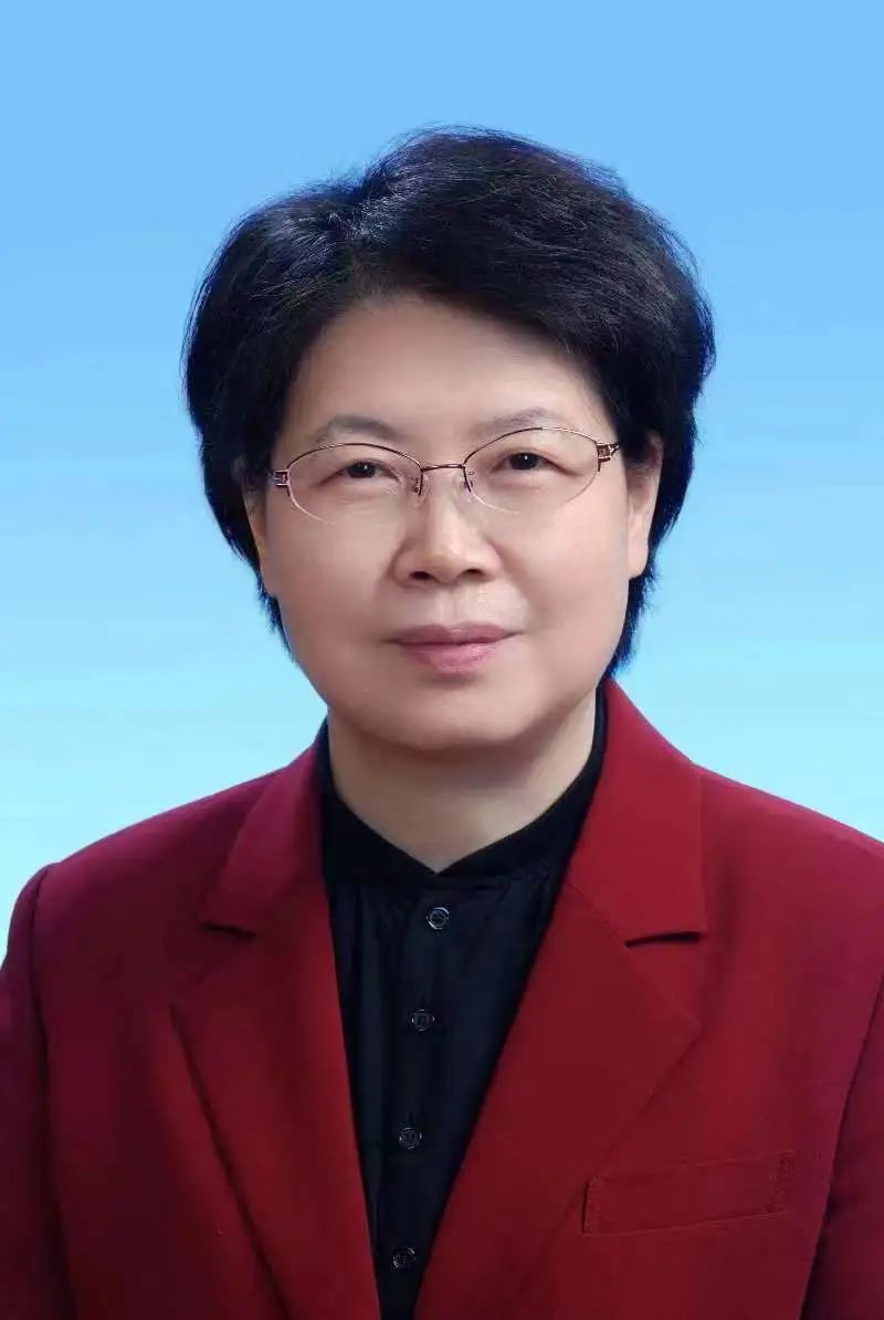 肖菊华最新任职深度解析与观点阐述，探究背后原因及影响
