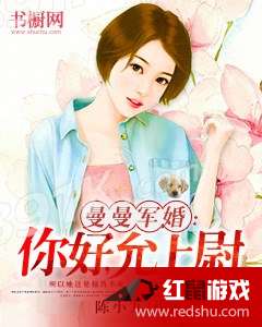 2016军婚小说完美收官，深度解析与观点阐述