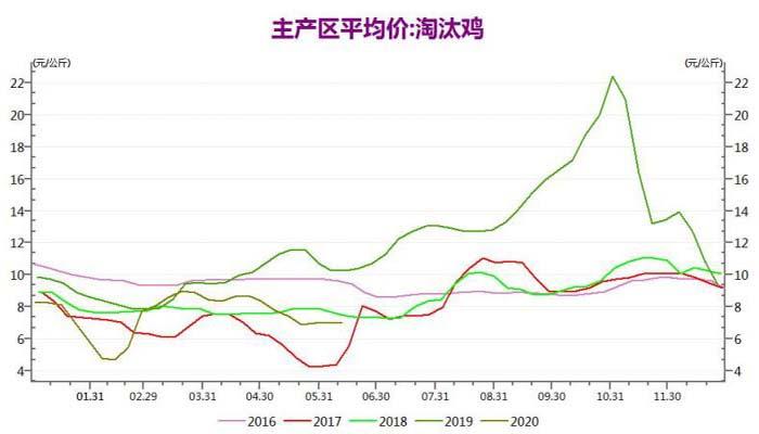 蛋鸡淘汰行情深度解析，小巷中的鲜味探索