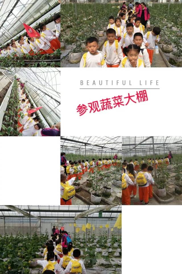 吴桥贴吧最新动态聚焦，观点交锋与立场剖析