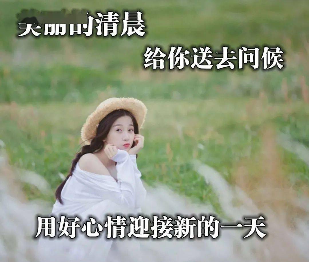 快节奏时代中的情感重塑，最新温情的涌现