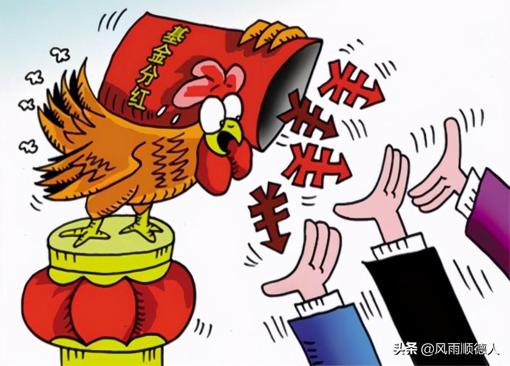 吃的行情,吃的行情，一场味蕾的盛宴