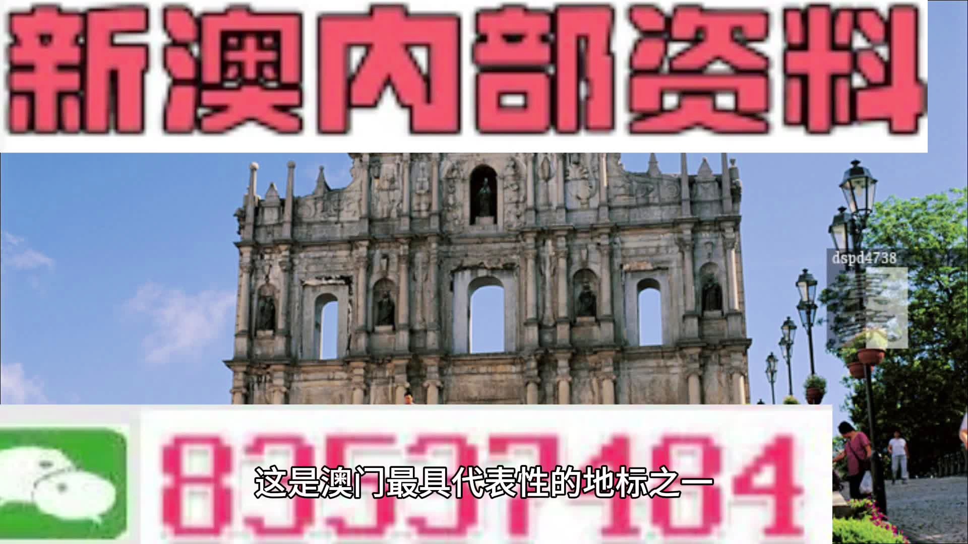 新澳2024正版免费资料,社会责任实施_跨界版10.229