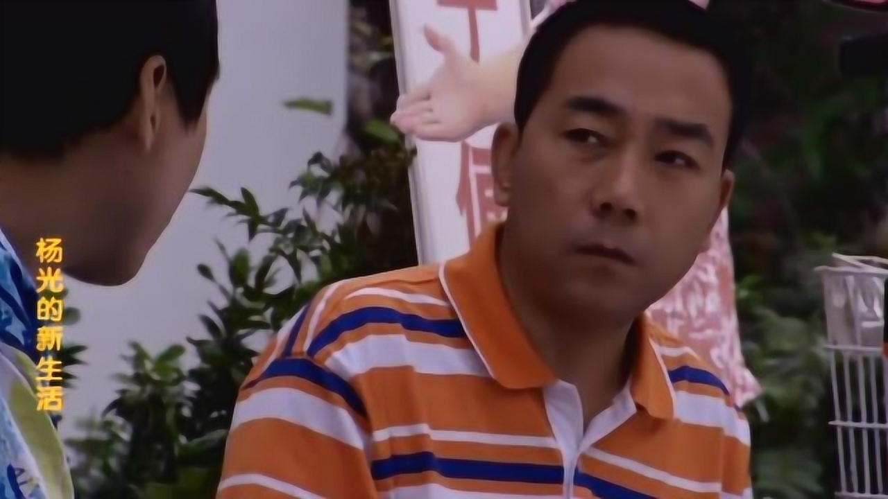 杨光的新生活演员表,杨光的新生活演员表，深度解析角色与演员的魅力