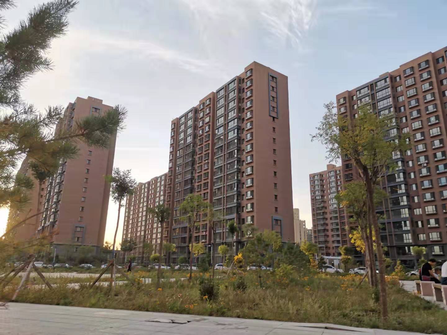 肥乡房产投资全解析，从购房到开发，一站式资讯解读🏠