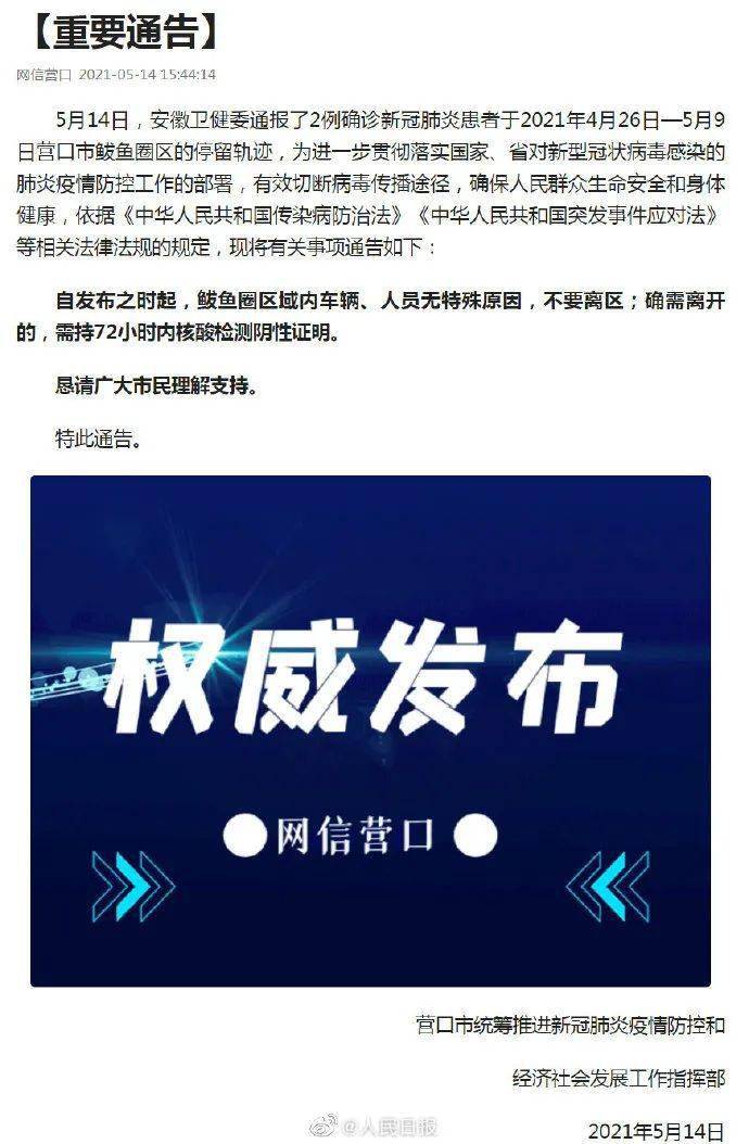 疫情最新动态概览