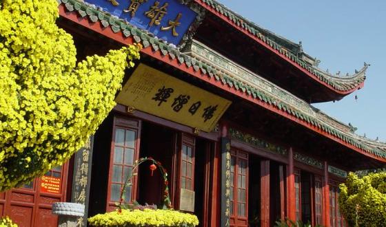 大宝殿最新漏洞,大宝殿最新漏洞，一场自然美景的探险之旅