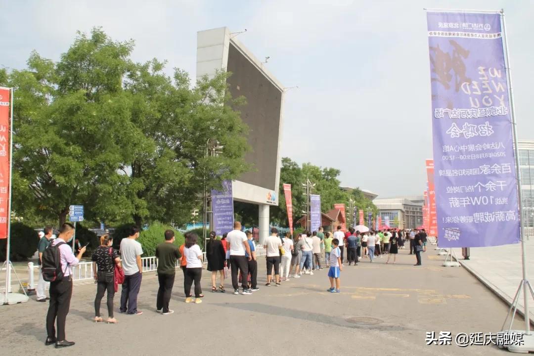 延庆招聘会新发现，小巷深处的独特小店资讯更新