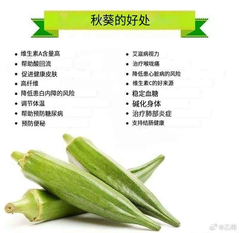 秋葵资讯平台,秋葵资讯平台，时代背景下的资讯新势力