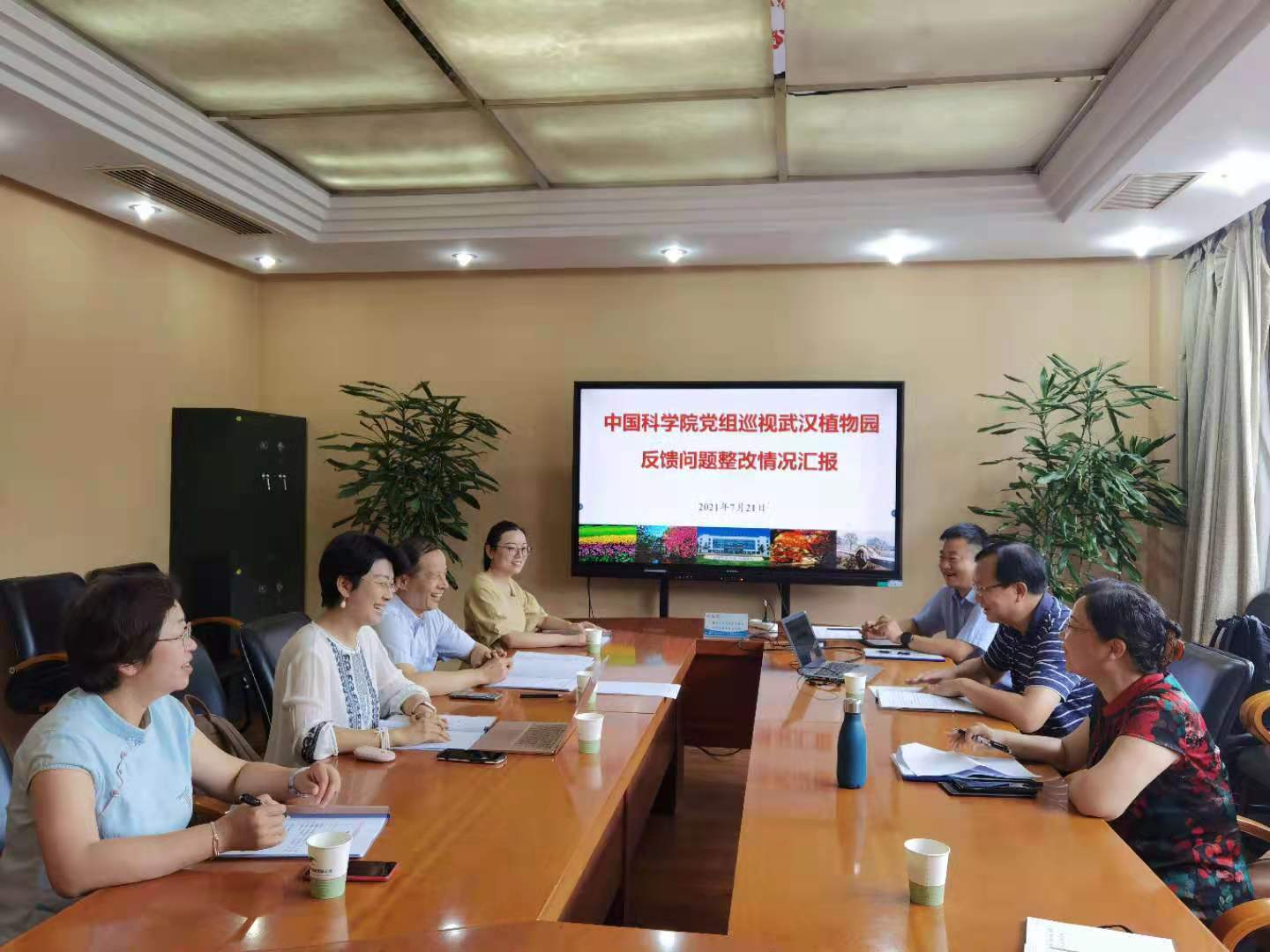 武汉巡视组最新动态及步骤指南揭秘
