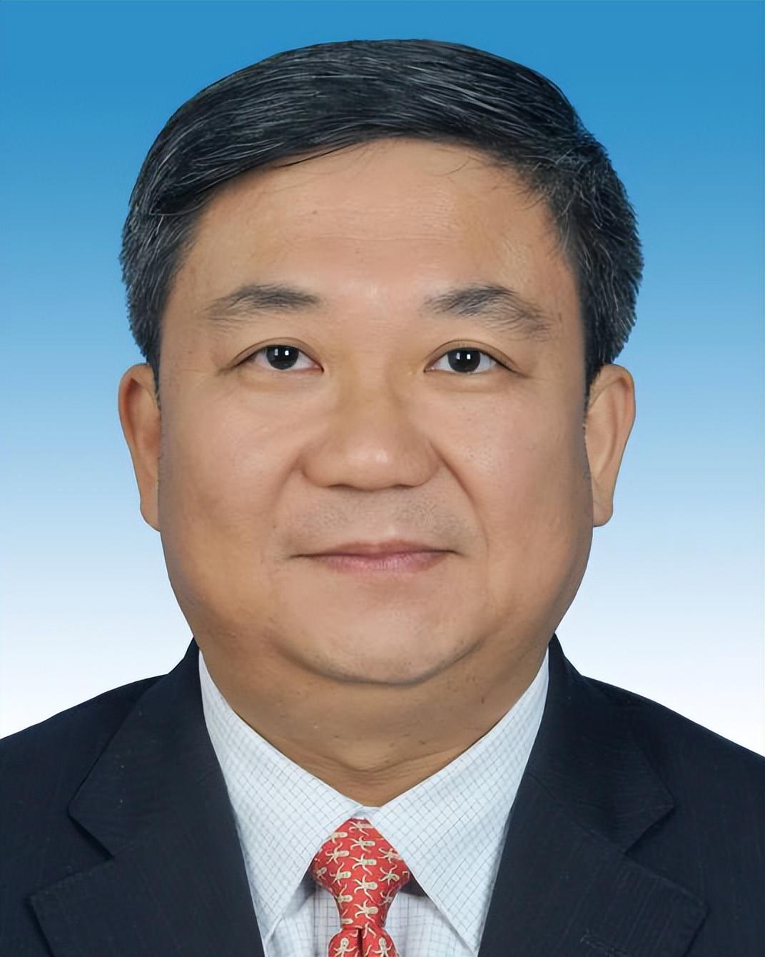 广西最新省委常委名单概览，最新名单解析与成员介绍