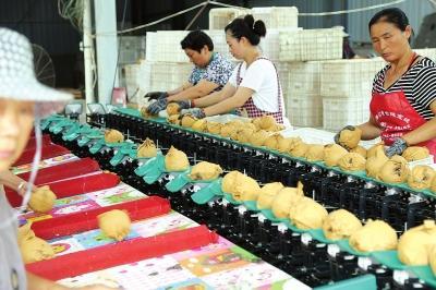 临颖最新招聘信息2025，职业新起点等你来挑战！