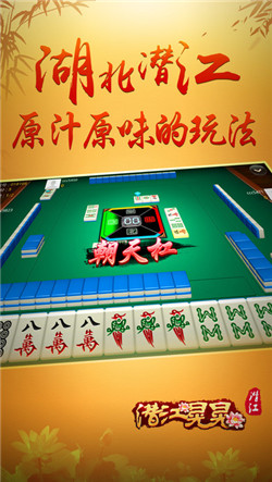 潜江晃晃游戏下载，体验家乡最新版的魅力