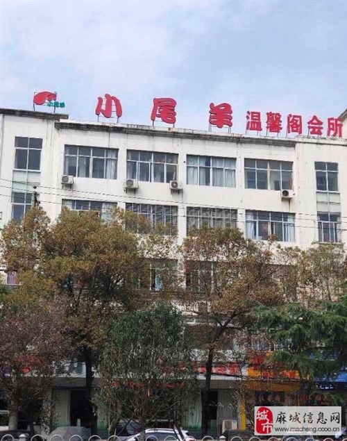 麻城最新店铺出租火热解析！