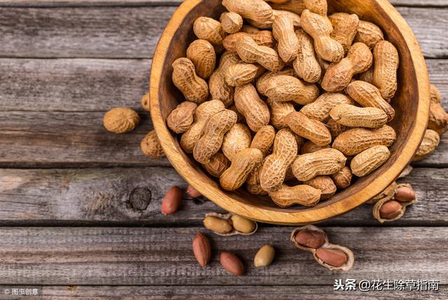 阜新花生价格实时更新，最新行情报告