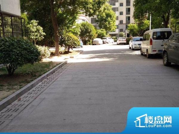 合肥莱茵河畔最新房价动态及分析