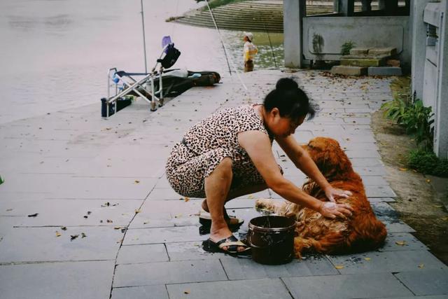 鹤洞桥底站街女的变化力量与自信绽放之路