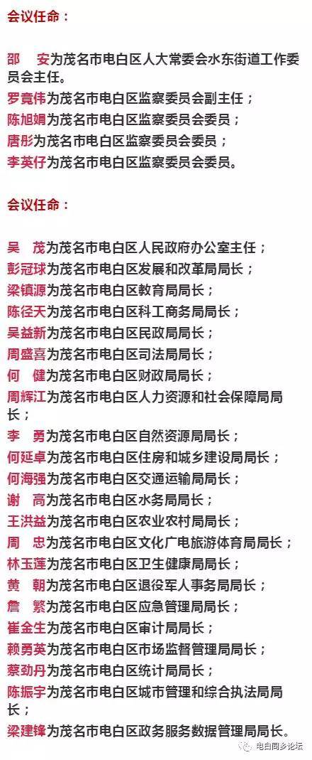 电白区最新人事任免信息一览，人事调整动态🌟
