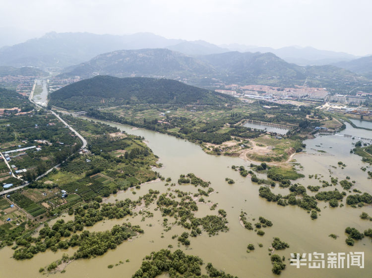 青岛崂山水库最新水位信息更新