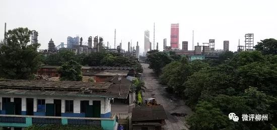 柳化最新动态，技能学习与实践指南