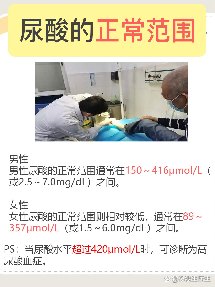 尿酸最新正常值解析，了解尿酸水平，迈向健康生活