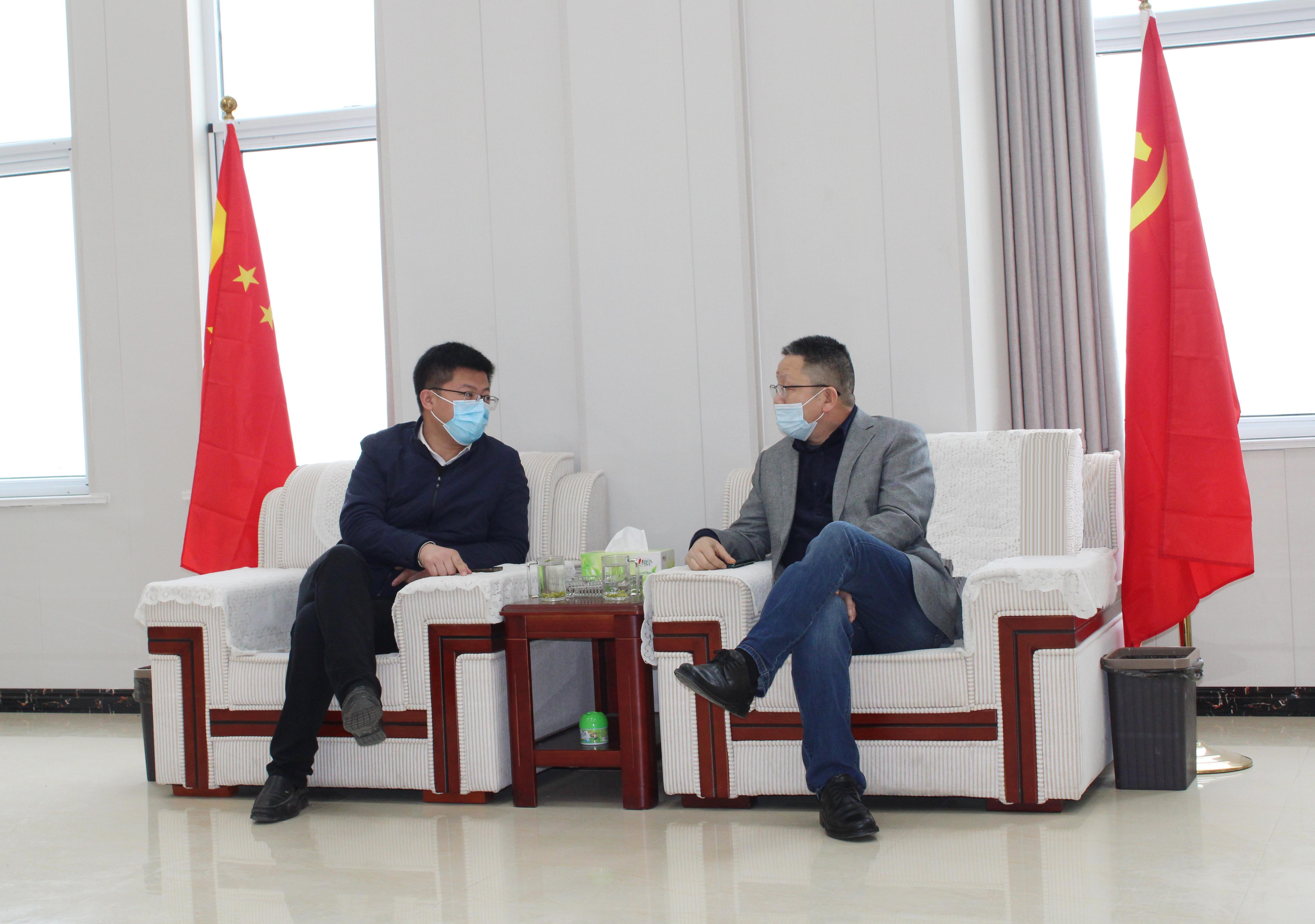 邳州大蒜最新价格指南，查询、购买与适用指南（初学者与进阶用户必备）