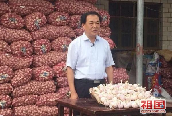 河北大名大蒜最新价格，科技引领市场，开启大蒜产业新篇章