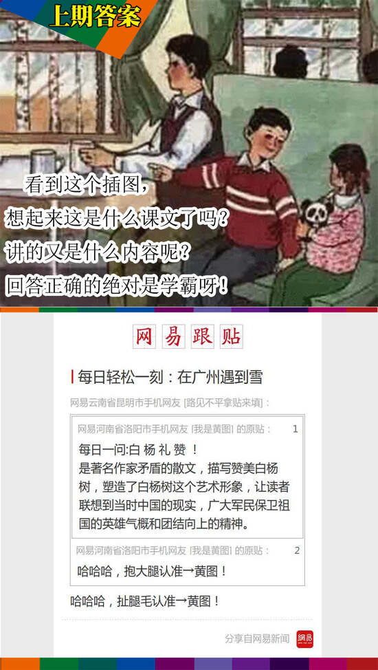 每日轻松一刻最新，快乐生活新篇章开启！