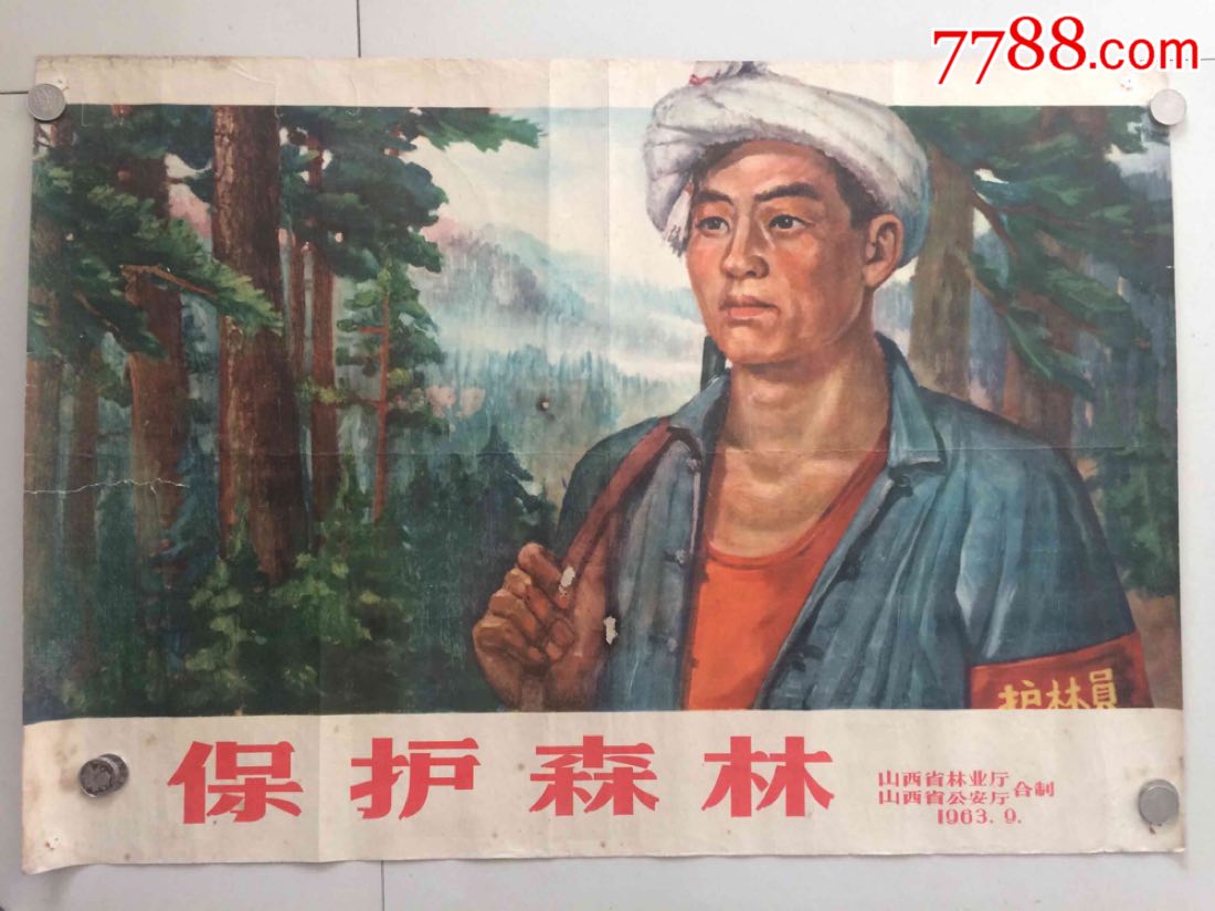 普30保护森林最新价格及其论述