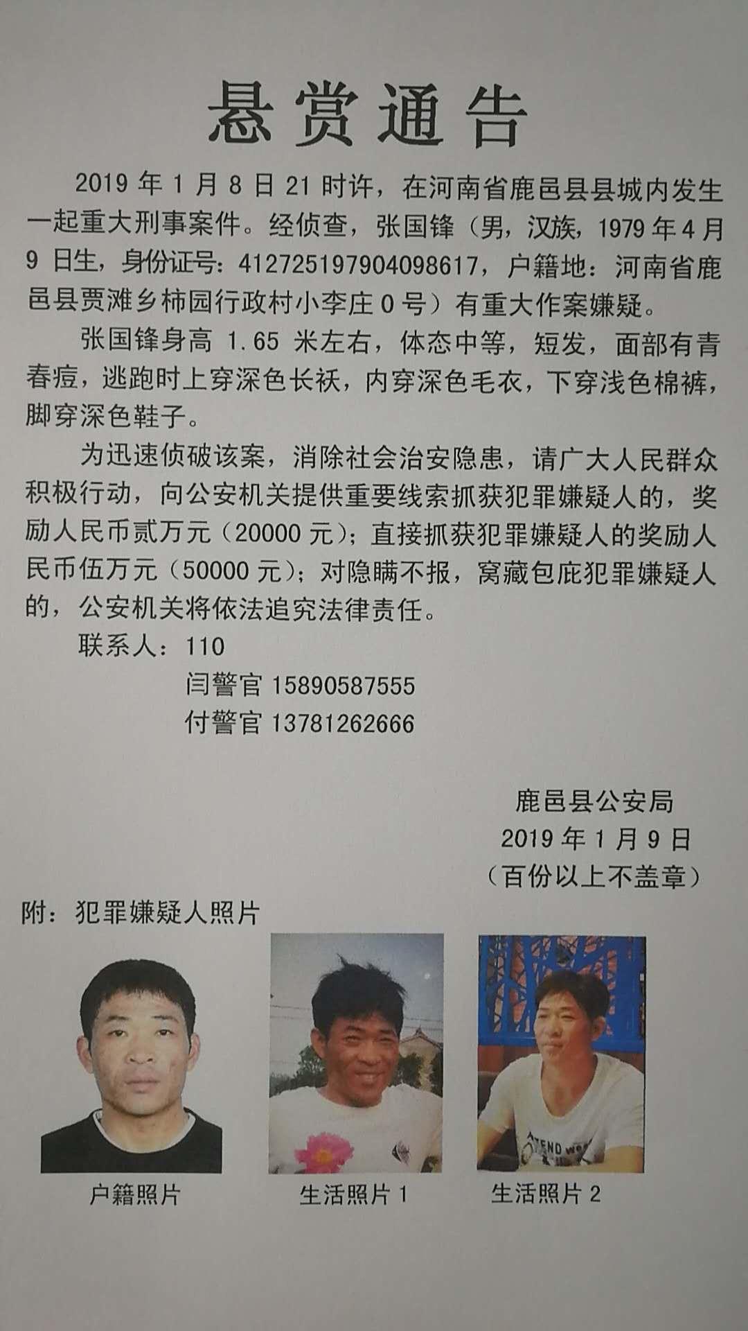 伊川县新闻速递，最新动态与资讯汇总📣📣📣