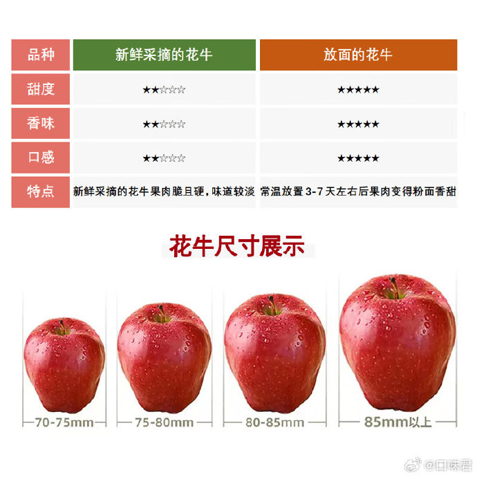 庆阳PE波纹管 第6页