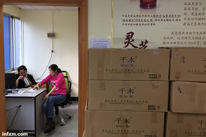 千木灵芝最新报道视频，自然美景探索之旅，心灵平静之旅的启示