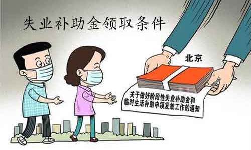 失业补助最新政策解析，影响与展望，观点阐述