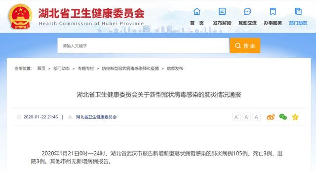 特色小店魅力之旅，小巷深处的独特风味（最新554例分享）