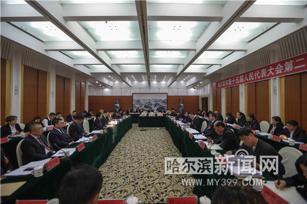 哈尔滨最新动态，城市变迁与奋进人生