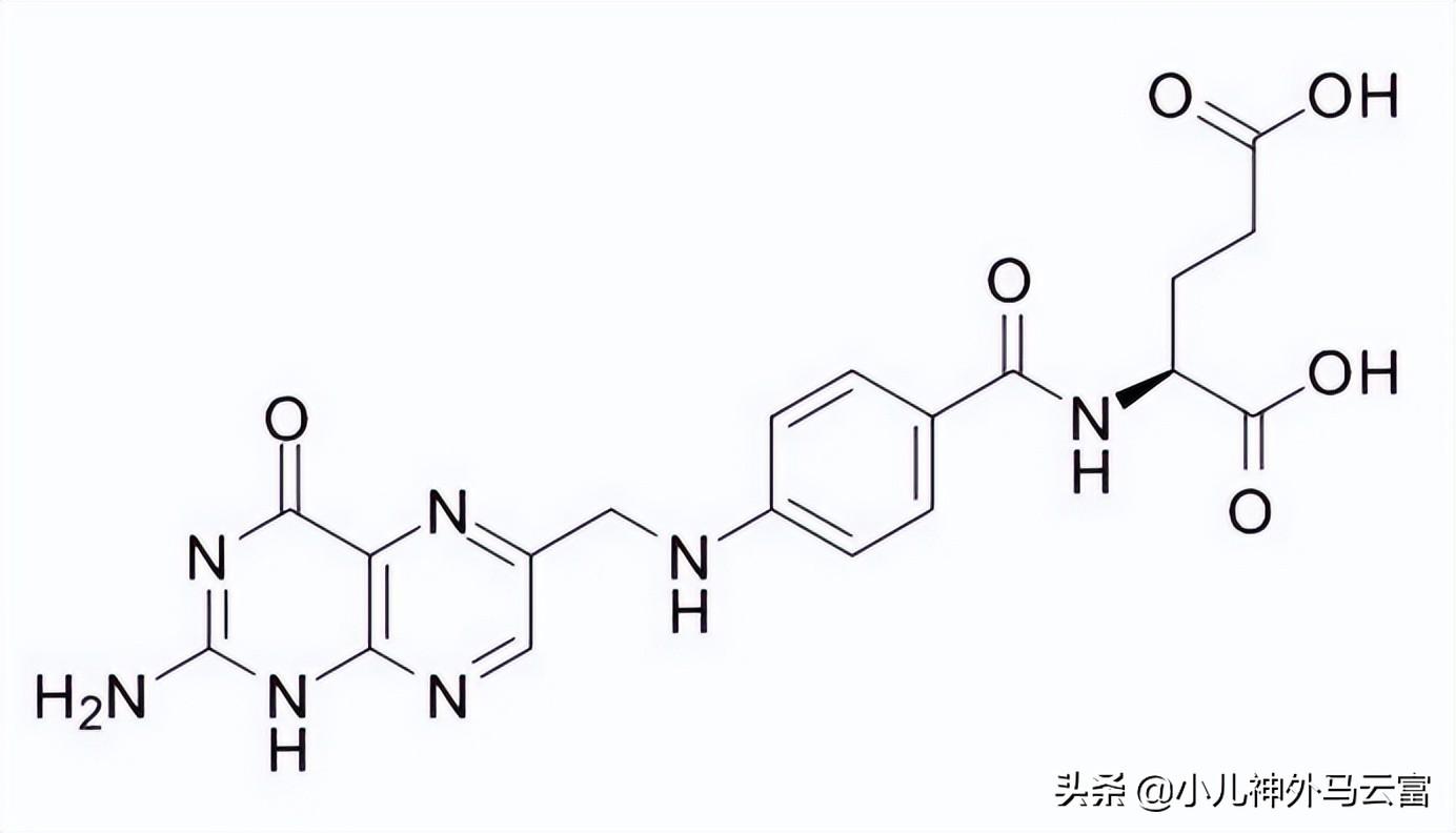 最新叶酸,最新叶酸，一场心灵与自然的美丽邂逅之旅