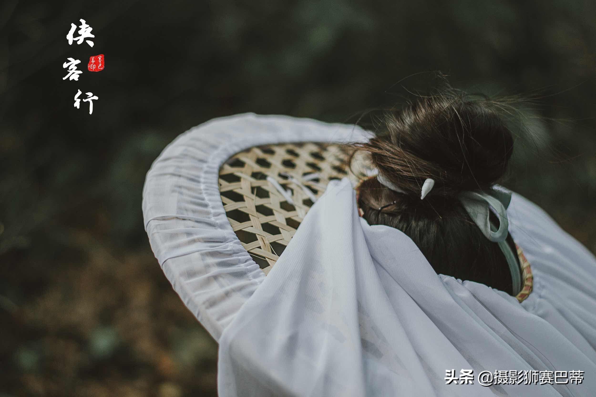 侠客分享网最新版,侠客分享网最新版，探索自然美景的轻松之旅