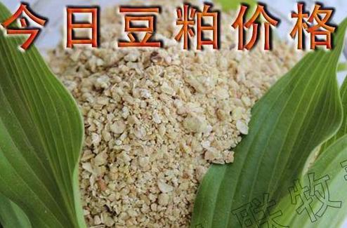 国际油价格最新行情下的温馨旅程展望