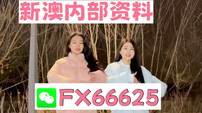 管家婆一码一肖最准一肖,高速响应计划执行_无线版38.409