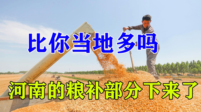 智能农业补贴助手，2024年粮食补贴最新动态与科技赋能粮食产业