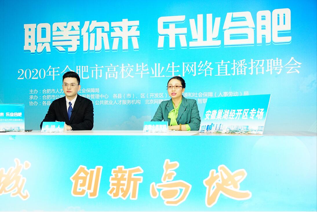 巢湖最新招聘探秘，小巷特色小店中的隐藏宝藏
